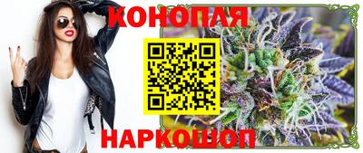 круглые Кингисепп