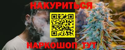 гашик Кандалакша