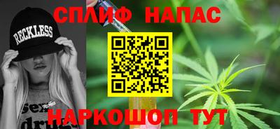 гашик Кандалакша