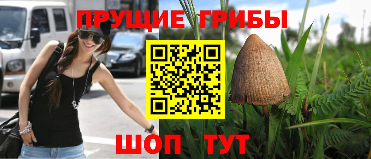 Кудымкар  Псилоцибиновые грибы прущие грибы  хочу наркоту  Вход с VPN  Галлюциногенные грибы Psilocybe 